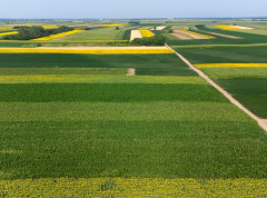 Ministarstvo poljoprivrede raspisalo javni poziv za unapređivanje ruralnog razvoja